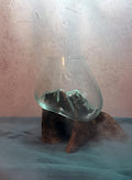 Rooted Glass Display Vessel