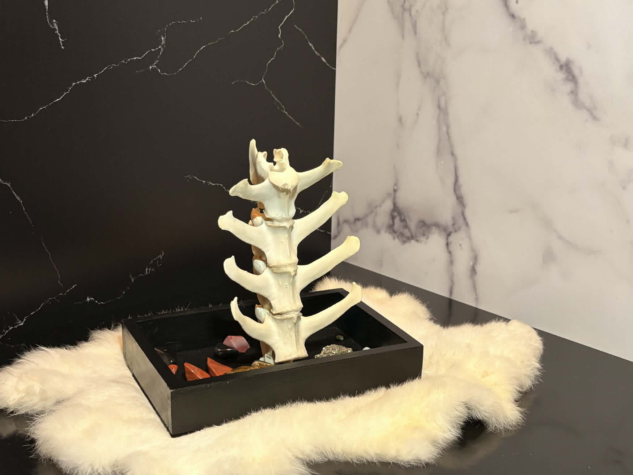 Vertebrae Jewelry Stand