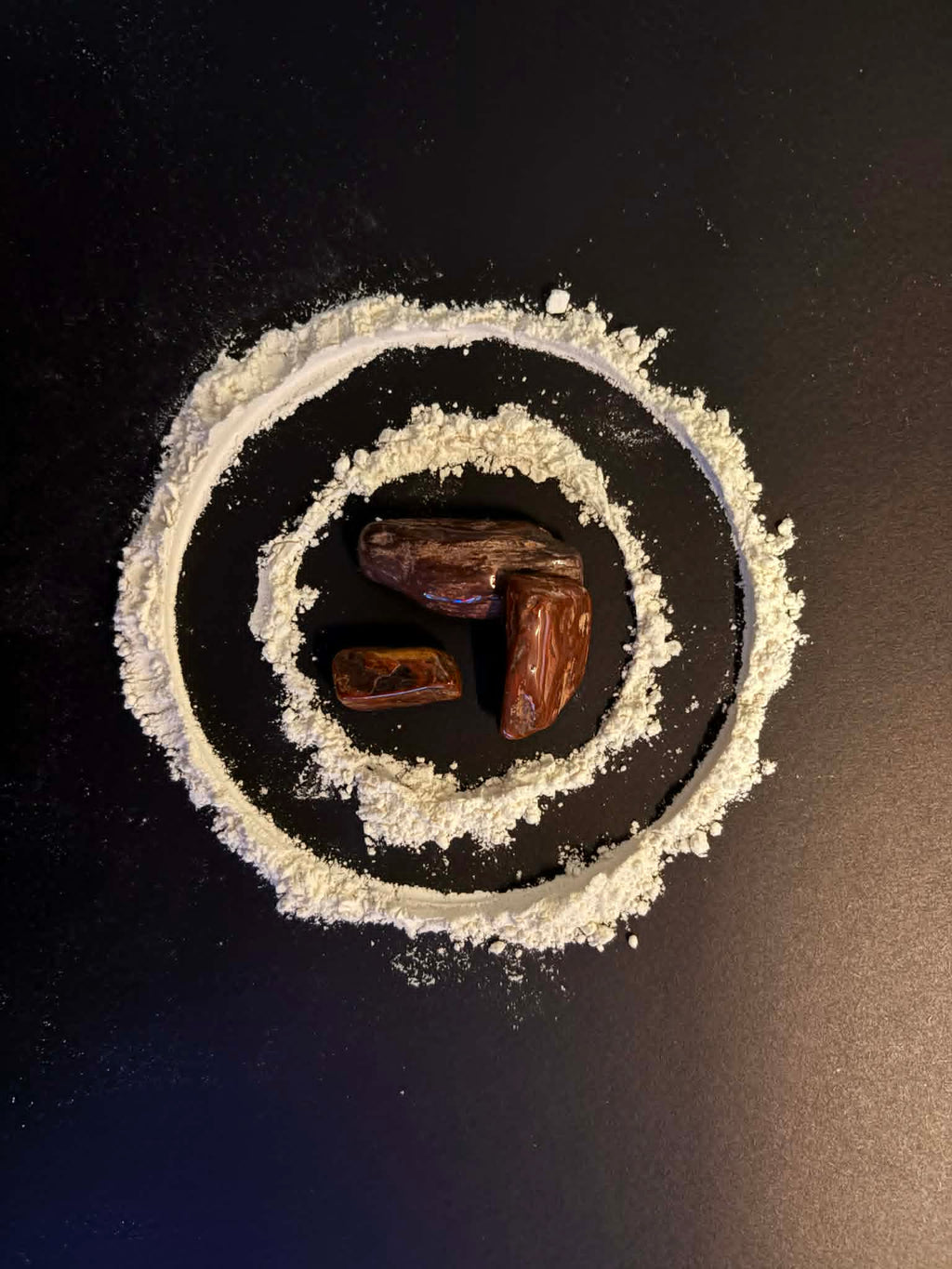 Tumbled Petrified Wood (Texas)