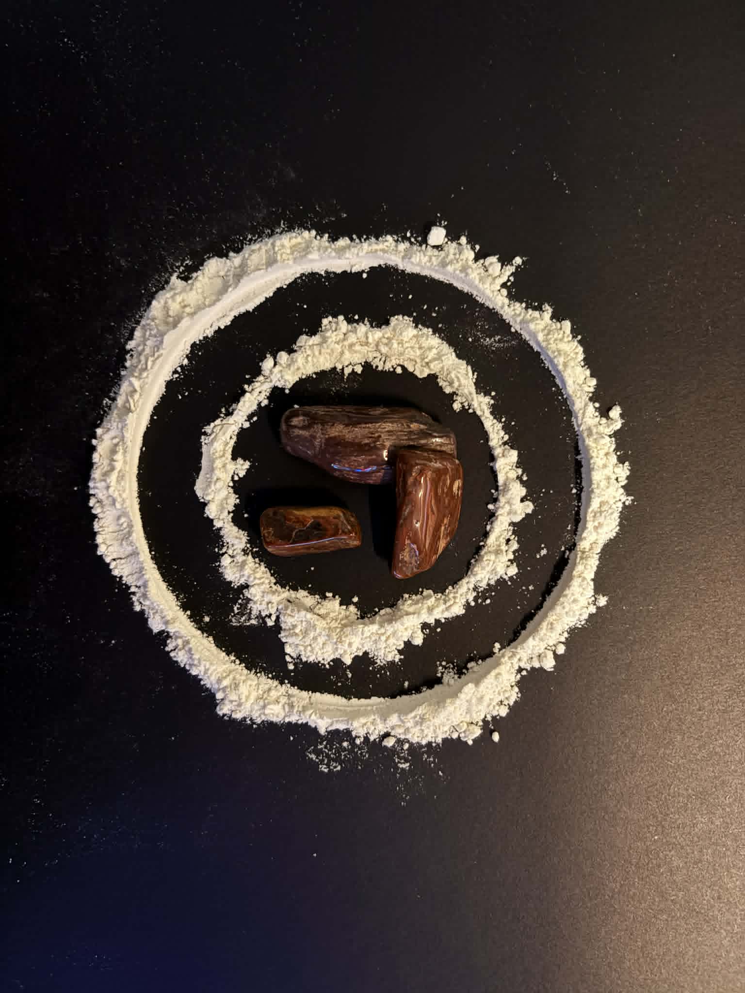 Tumbled Petrified Wood (Texas)