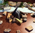 Tumbled Petrified Wood (Texas)