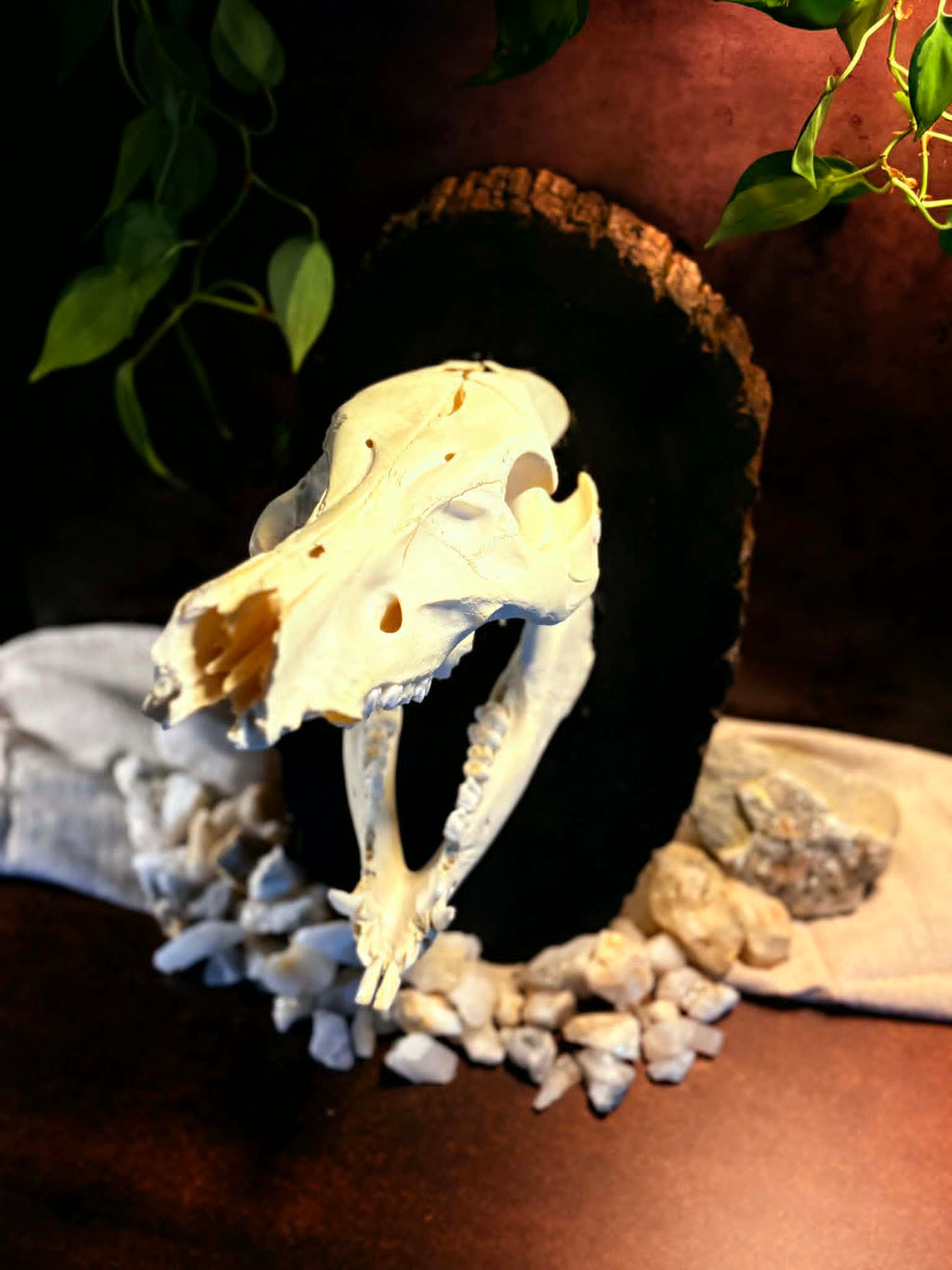 Bone Relic: Boar